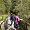 Mariazell_Weng_Admont_Ennstal_132